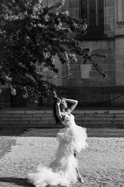 düğün seksi kadın çiçek açan ağaç