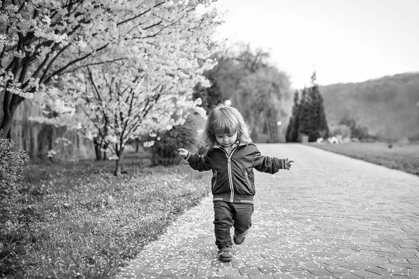 Kleine jongen een bloeiende boom — Stockfoto