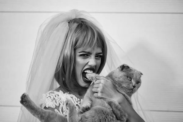 Невеста с оранжевыми волосами и кошками — стоковое фото