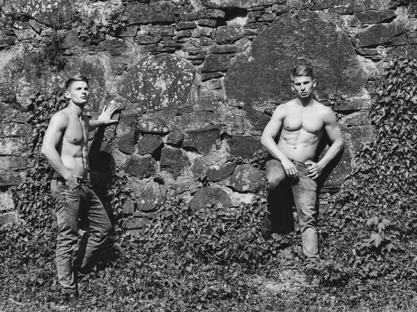 Gêmeos musculares no fundo da parede pedregosa — Fotografia de Stock