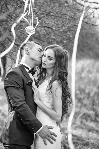 Весільна пара і стрічки на дереві — стокове фото