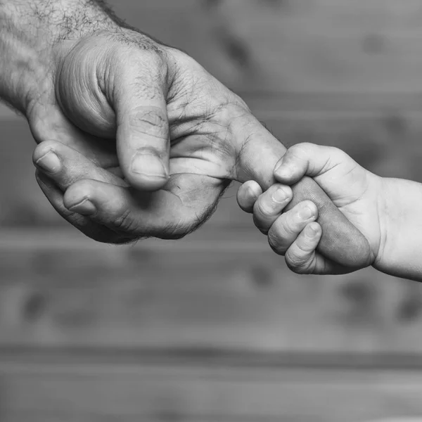 Manos de hijo y padre — Foto de Stock