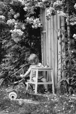 küçük çocuk gül bush yeme