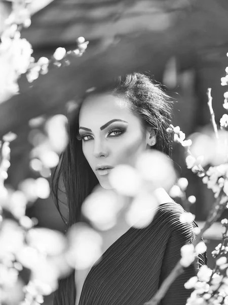 Woman with blooming apricot — Stock Photo, Image