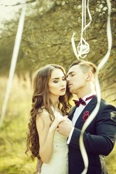 Boda pareja y cintas en el árbol — Foto de Stock