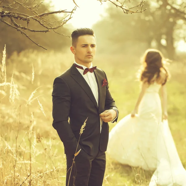 Wedding couple outdoor — Stock Photo, Image