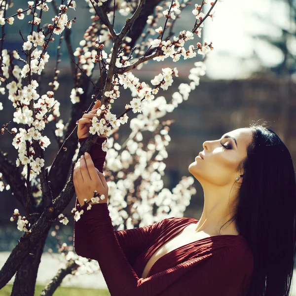 美丽的女人附近杏棵开花的树 季节性特征 美丽和时尚 — 图库照片