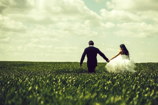 Pareja de boda en hierba verde y cielo azul —  Fotos de Stock