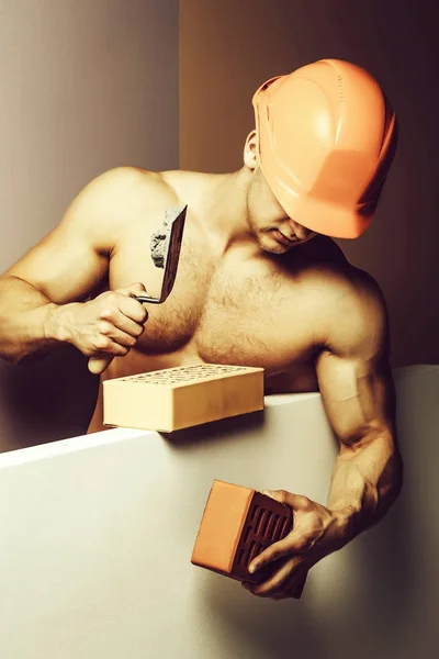 Young Handsome Macho Man Builder Sexy Muscular Athletic Strong Body — Stock Photo, Image