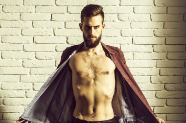 sakallı adam veya hipster yakışıklı olan ciddi bir yüz ve moda mor gömlek beyaz tuğla duvar arka plan üzerinde çıplak ince gövde ile