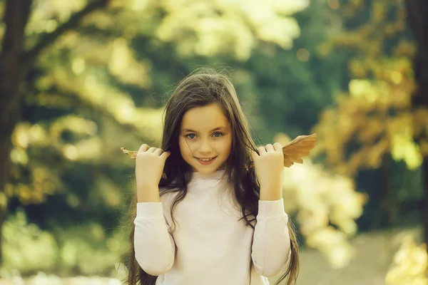 紅葉の背景に秋の公園でポーズをとる彼女の手で葉の黄色をかかえて顔を笑顔で美しい学齢女の子 — ストック写真