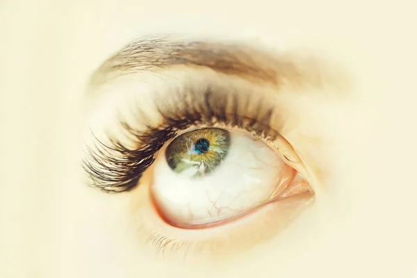 Kobiece Otwarte Oko Zielony Kolor Długo Bujne Czarne Rzęsy Brwi — Zdjęcie stockowe