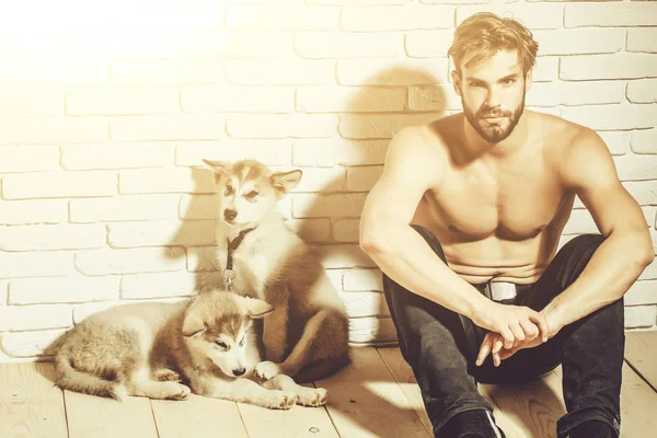 muscular man with sexy body holds husky dogs, puppy pets