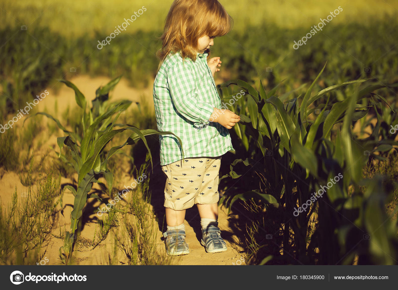 Small Boy Child Long Blonde Hair Standing Green Grass Field