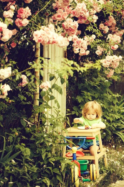 Piccolo ragazzo mangiare vicino cespuglio di rose — Foto Stock