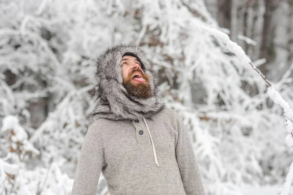 Bebaarde man met open mond in het besneeuwde forest — Stockfoto