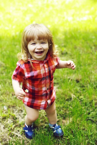快乐的小男孩，在绿色草地上 — 图库照片