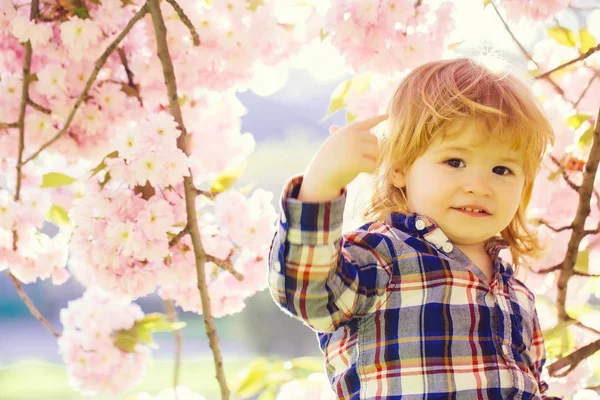 Маленький мальчик в цвету — стоковое фото