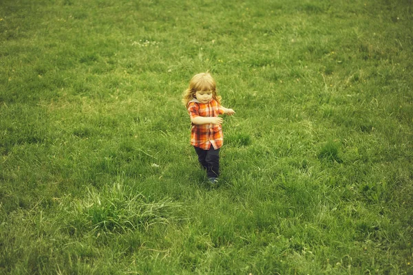 Liten pojke på grönt gräs — Stockfoto