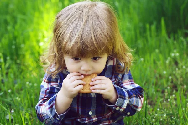 Small boy outdoor — Stock Photo, Image
