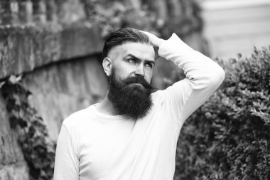 Şık sakallı adam açık