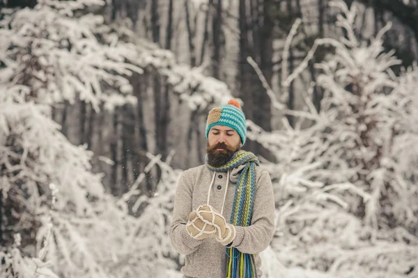 Temperatura, congelación, frío, nevadas . — Foto de Stock