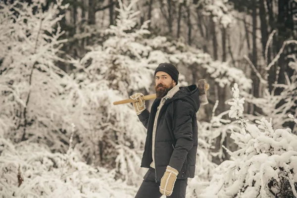 Température, gel, coup de froid, chutes de neige . — Photo