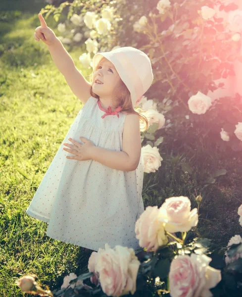 Gyermek állandó a virágzó Rózsa virágok, a zöld fű — Stock Fotó