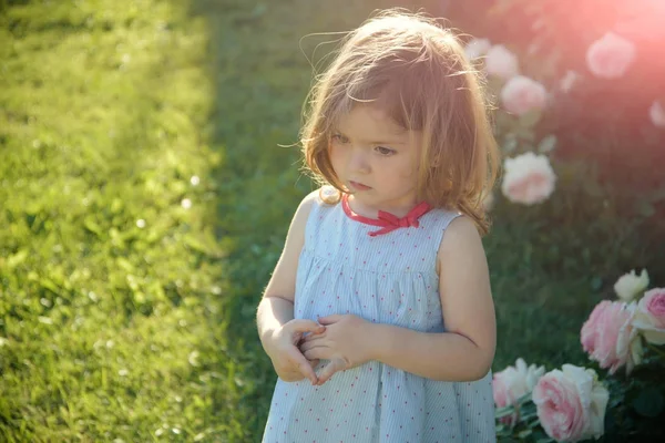 Dívka stojící na zelené trávě na slunečný den — Stock fotografie