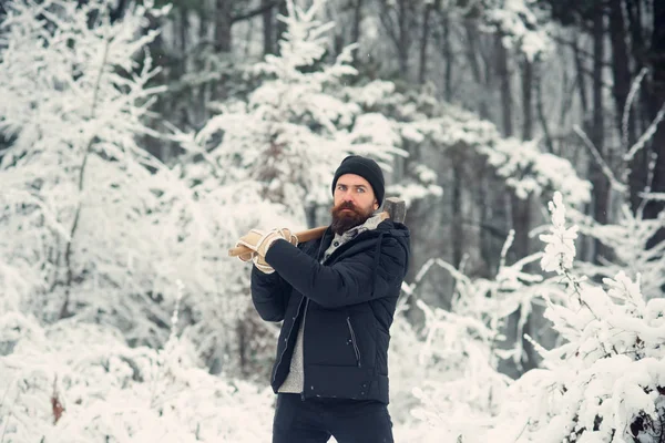 Temperatura, congelamento, frio, queda de neve . — Fotografia de Stock