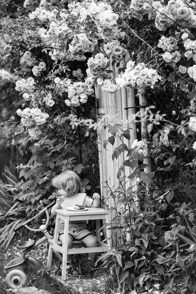 Piccolo Ragazzo Mangiare Vicino Cespuglio Rose — Foto Stock