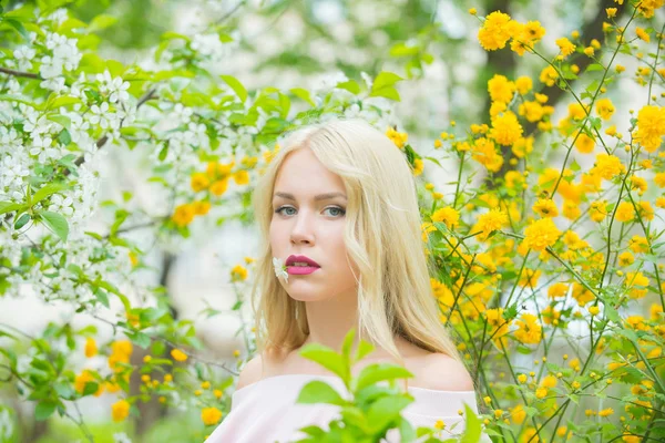 Lente, natuur en milieu. — Stockfoto