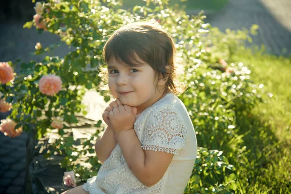 Дитина Сидить Цвітінні Троянд Зеленій Траві Невинність Чистота Молодіжна Концепція — стокове фото