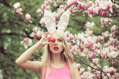 Bahar, doğa, sezon.