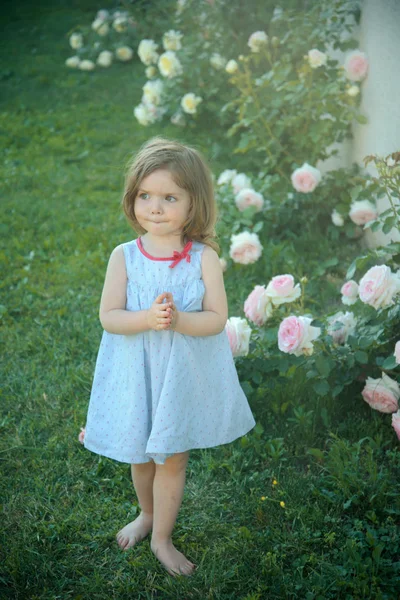 Κορίτσι με προσευχή τα χέρια στον κήπο το καλοκαίρι — Φωτογραφία Αρχείου