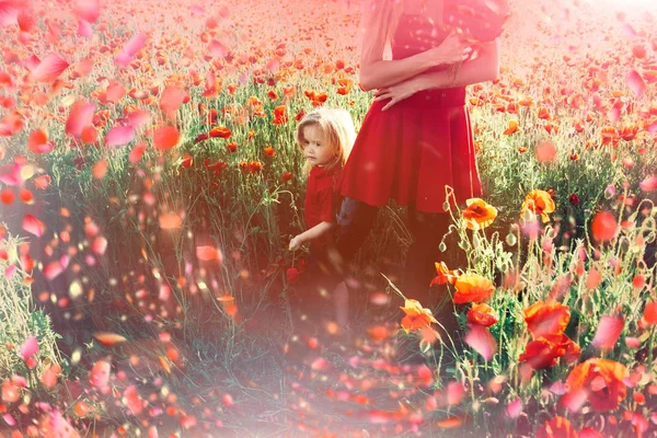 Bloemen in de weide, rode papaver bloem — Stockfoto