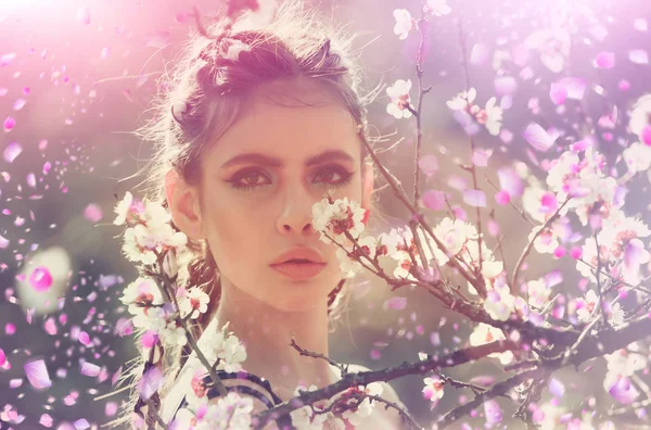 Girl with sacura tree. Cherry tree. — Stock Photo, Image