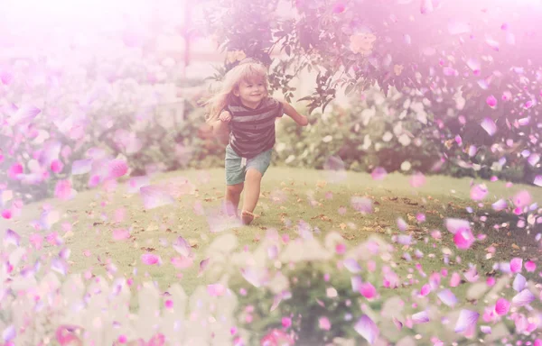 Kind in blühenden Blumen. Blühende Wiese — Stockfoto