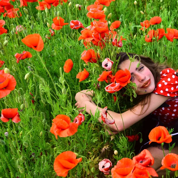 Donna nel campo di fiori di papavero, raccolto . — Foto Stock