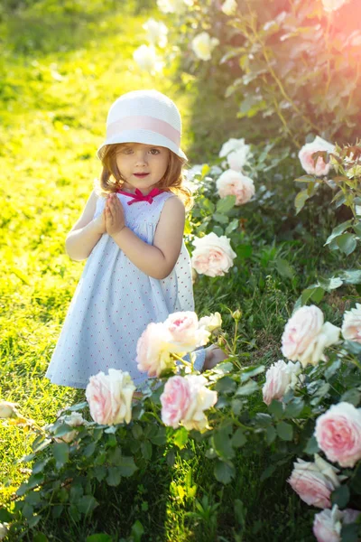 Дитина стоїть на квітучих трояндових квітах на зеленій траві — стокове фото