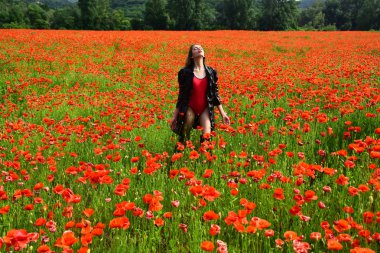 Güzellik, yaz, ilkbahar, haşhaş tohumu.