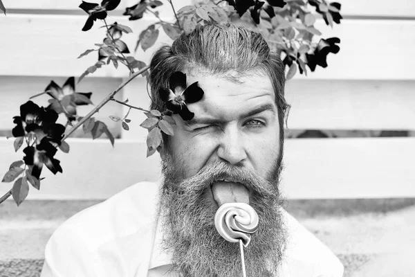 Uomo barbuto con barba blu e lecca-lecca — Foto Stock