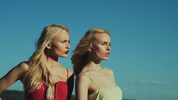 Meisjes Tweeling Vrouwen Lesbische Vriendinnen Met Lang Blond Haar Het — Stockvideo