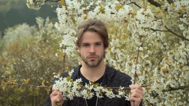 Young Man Spring Blooming Park — Stock Video