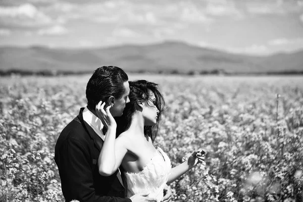 Wedding couple in field yellow flowers — Stock Photo, Image
