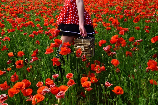 Schlafmohn, agiles Geschäft, Ökologie. — Stockfoto