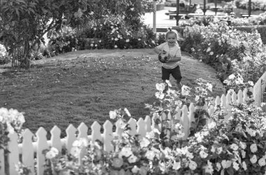 Yeşil çimenlerin üzerinde top oynamaktan şirin mutlu bebek çocuk