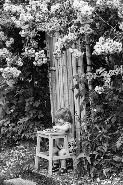Kleiner Junge isst in der Nähe von Rosenbusch — Stockfoto