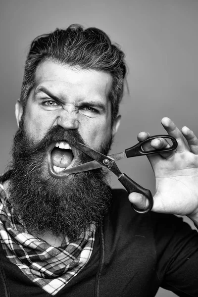 Homem barbudo com tesoura de cabeleireiro — Fotografia de Stock