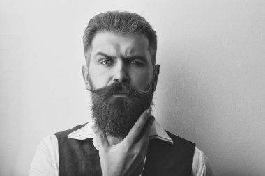 sakallı adam, acımasız beyaz hipster ciddi bir yüz ile